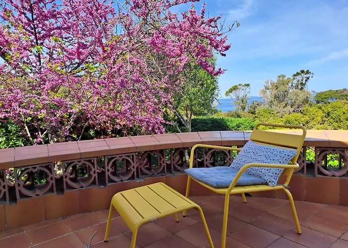 Plein Soleil- D'argent A 150 M - 150 M From * 科蒂基亚瓦里