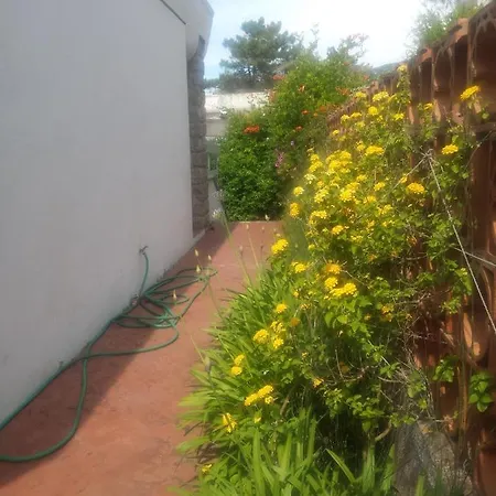 Plein Soleil- D'argent A 150 M - 150 M From Holiday home *