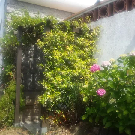 Holiday home Plein Soleil- D'argent A 150 M - 150 M From Coti-Chiavari (Corsica)