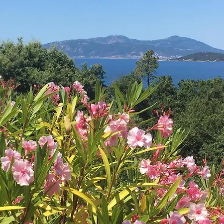 Plein Soleil- D'argent à 150 M - 150 M From * Coti-Chiavari (Corsica)