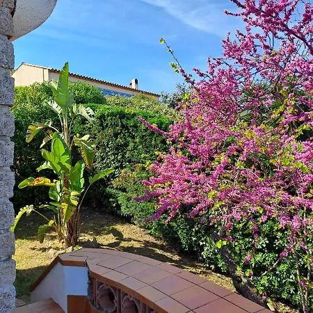 Plein Soleil- D'argent A 150 M - 150 M From Semesterbostad Coti-Chiavari (Corsica)