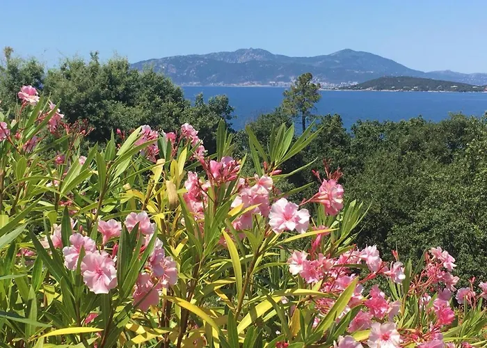 Plein Soleil- D'argent A 150 M - 150 M From * Coti-Chiavari (Corsica)