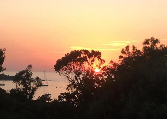 Vakantiehuis Plein Soleil- D'argent A 150 M - 150 M From Coti-Chiavari (Corsica)