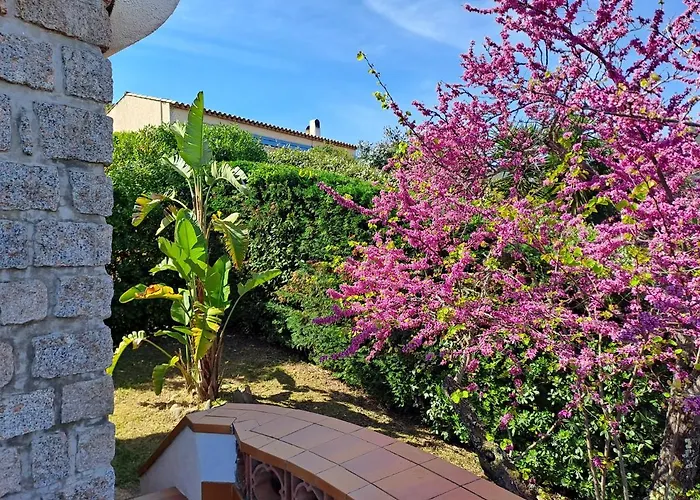 Plein Soleil- D'argent A 150 M - 150 M From Vakantiehuis Coti-Chiavari (Corsica)