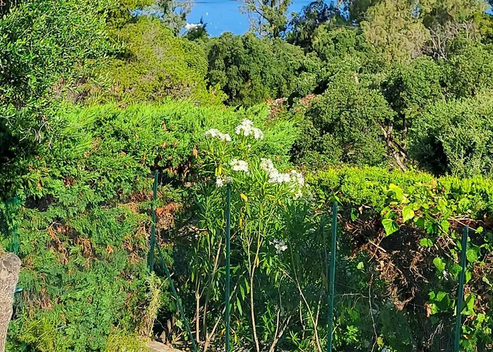 Vakantiehuis Plein Soleil- D'argent A 150 M - 150 M From Coti-Chiavari (Corsica)