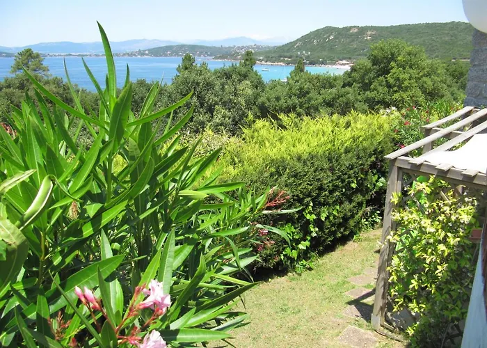 Plein Soleil- D'argent A 150 M - 150 M From